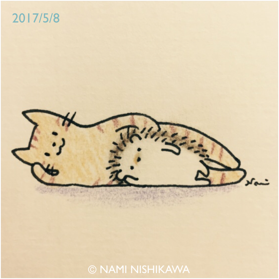 Кошки обнимашки