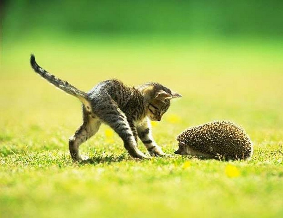 Обои на рабочий стол Минимализм