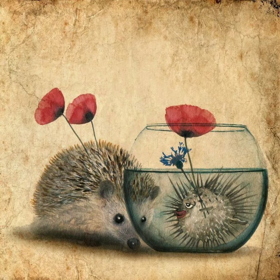 Кот играет с ежом