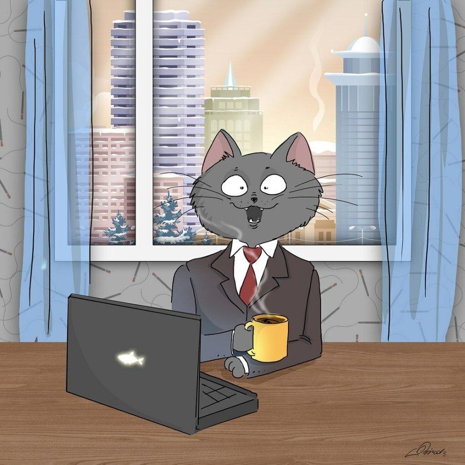 Кот в офисе