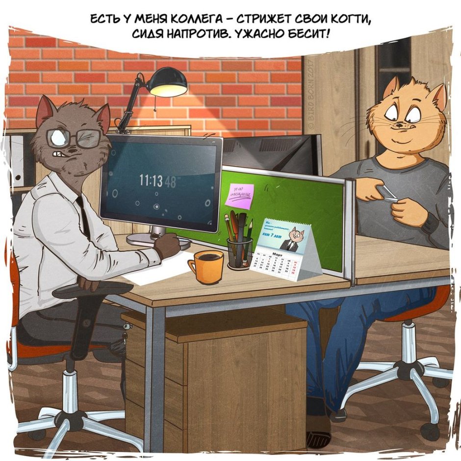 Кот бухгалтер