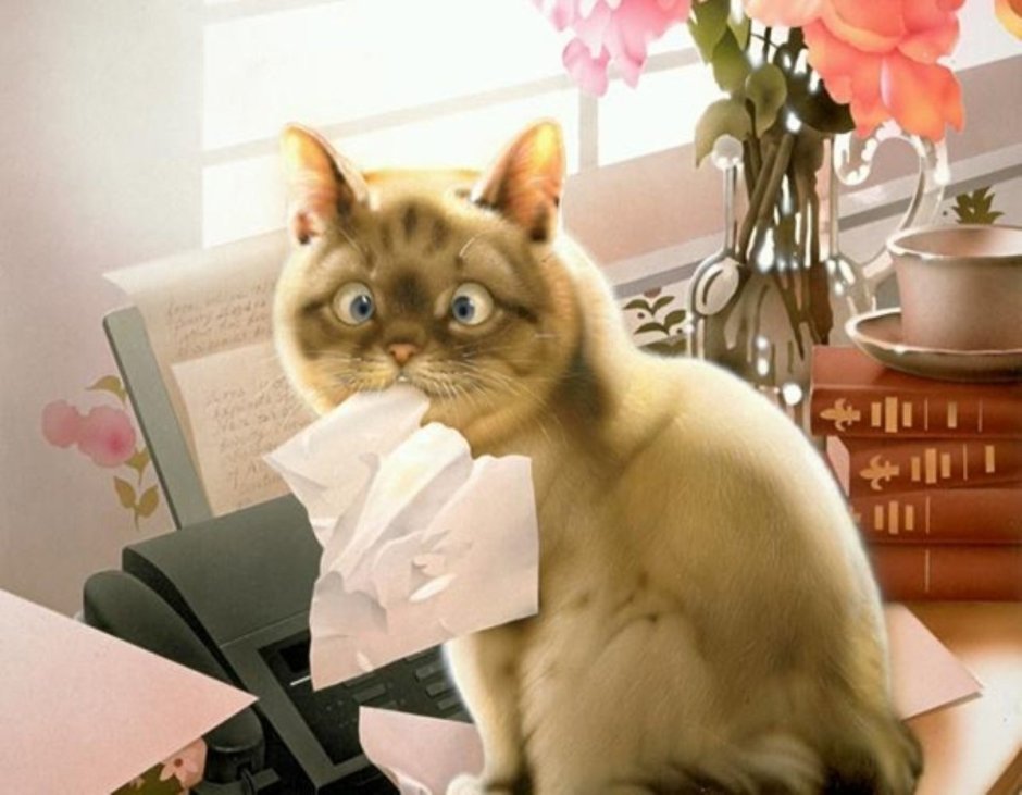 Коты в деловых костюмах