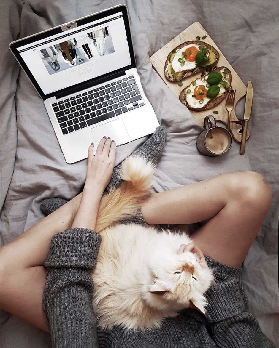 Кошка на работе