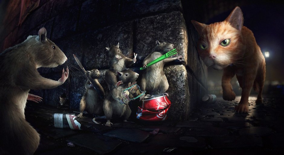 Кот зевает в профиль