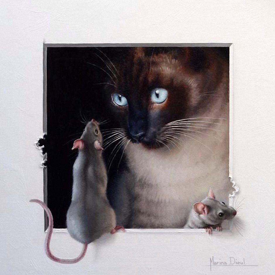 Ирина Гармашова черная кошка и белые