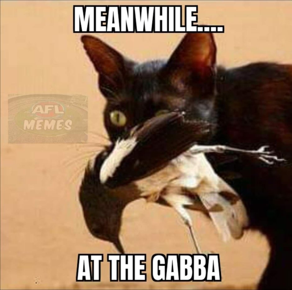 Мышь ворует