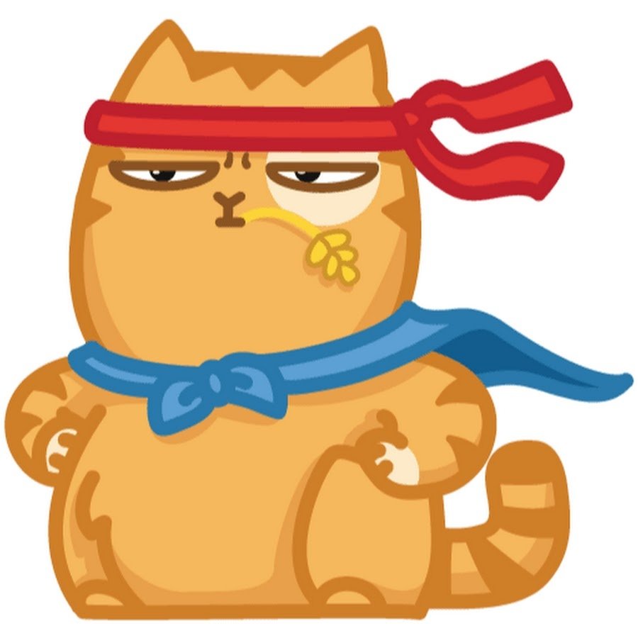 Стикеры ВК кот персик