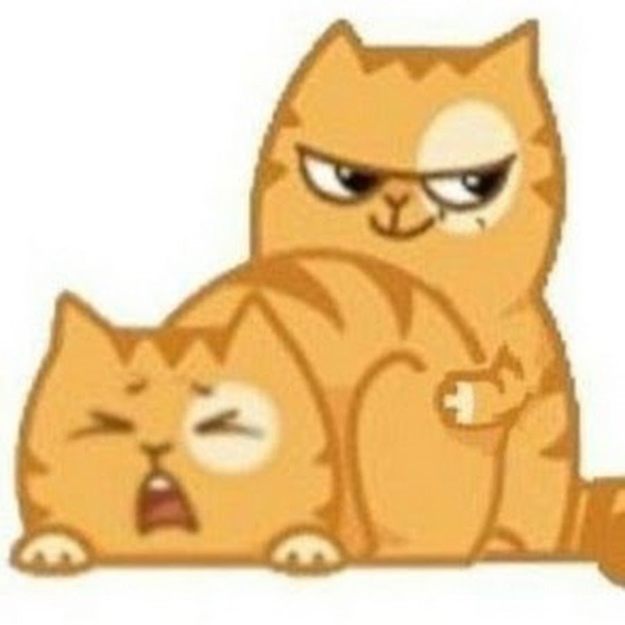 Кот персик плачет