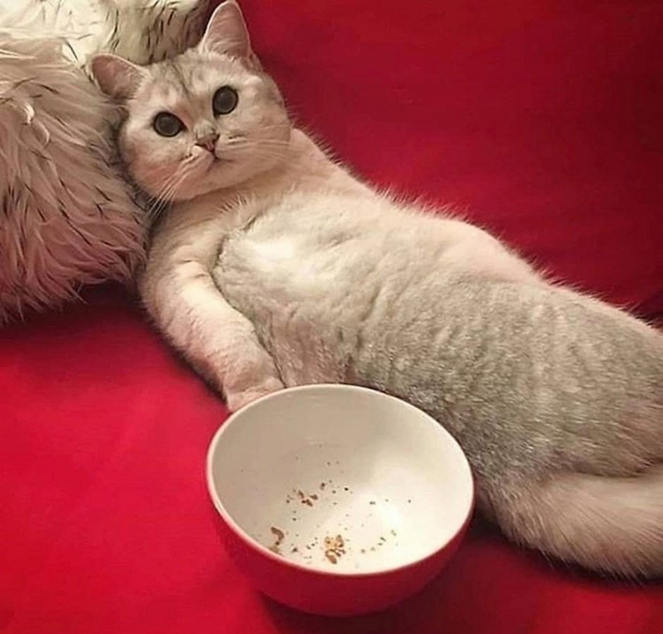 Пора кушать