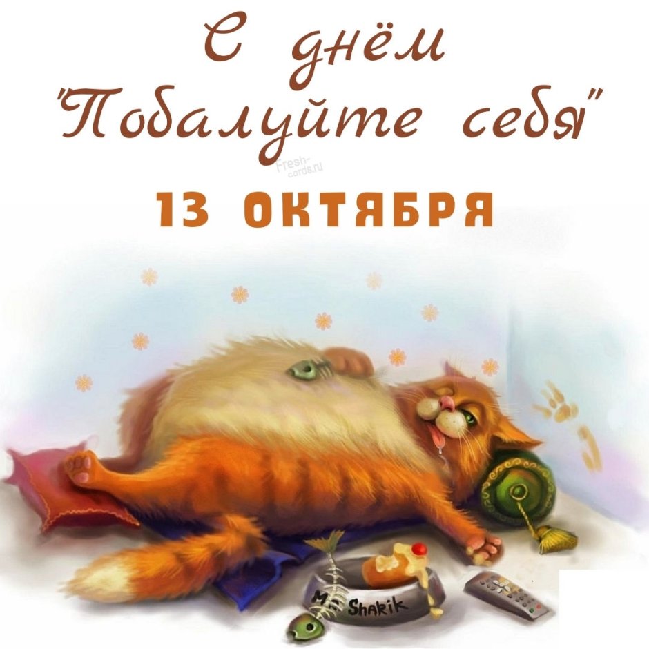 Котик с мандаринами