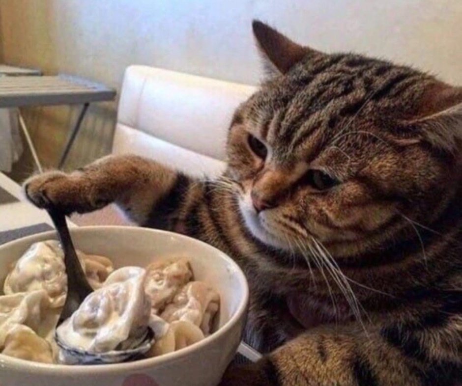 Пельмени прикол