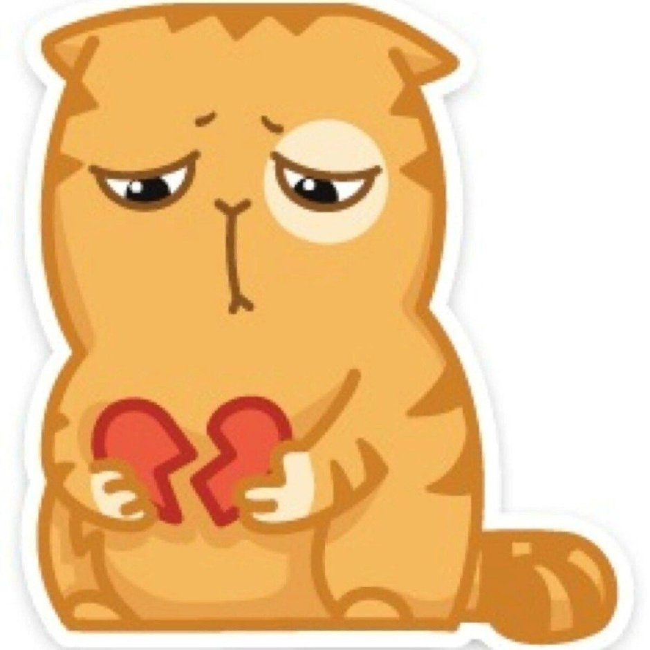 Кот персик ВК