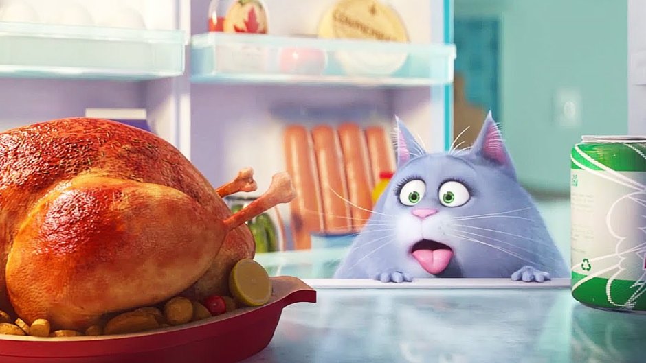 Хлоя Тайная жизнь домашних животных