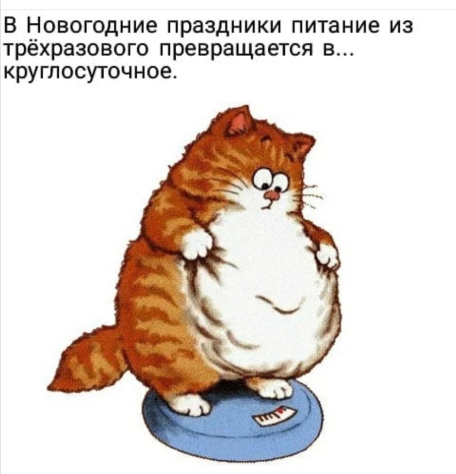 Толстый кот на весах