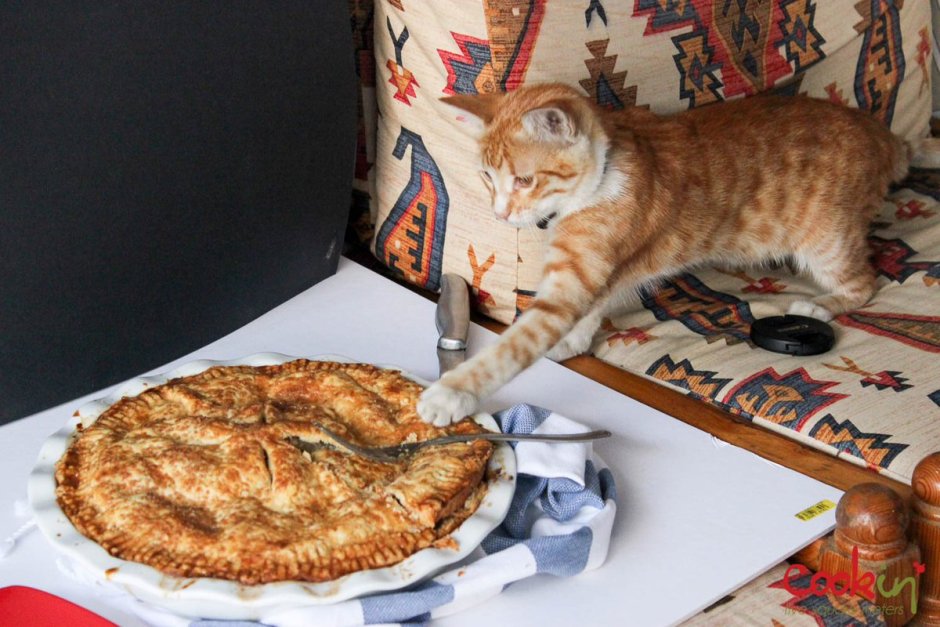 Кот с пирогом