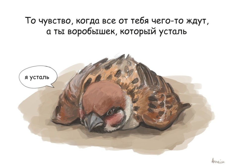 Воробушек социофобушек