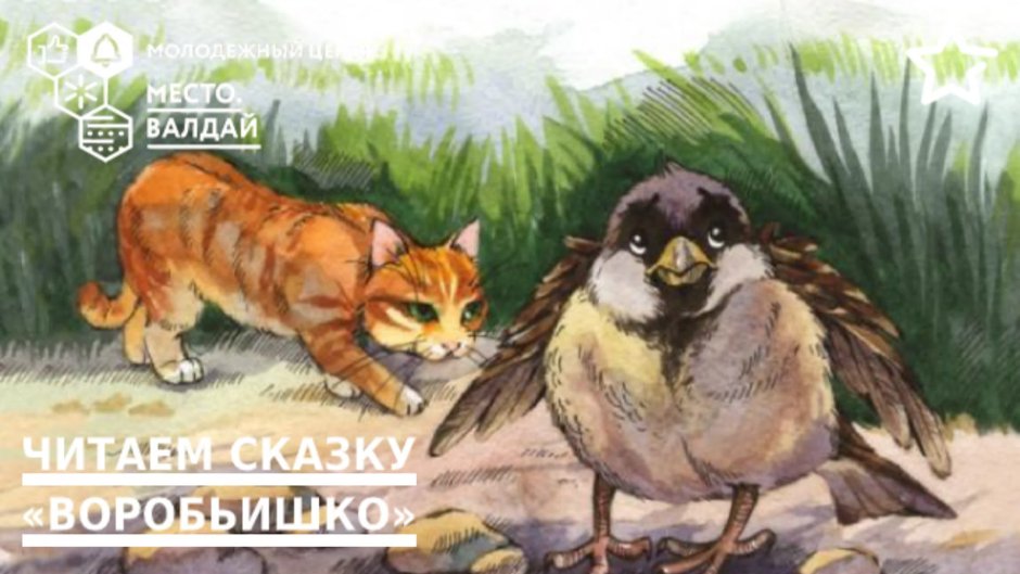 Нахохлившийся Воробей