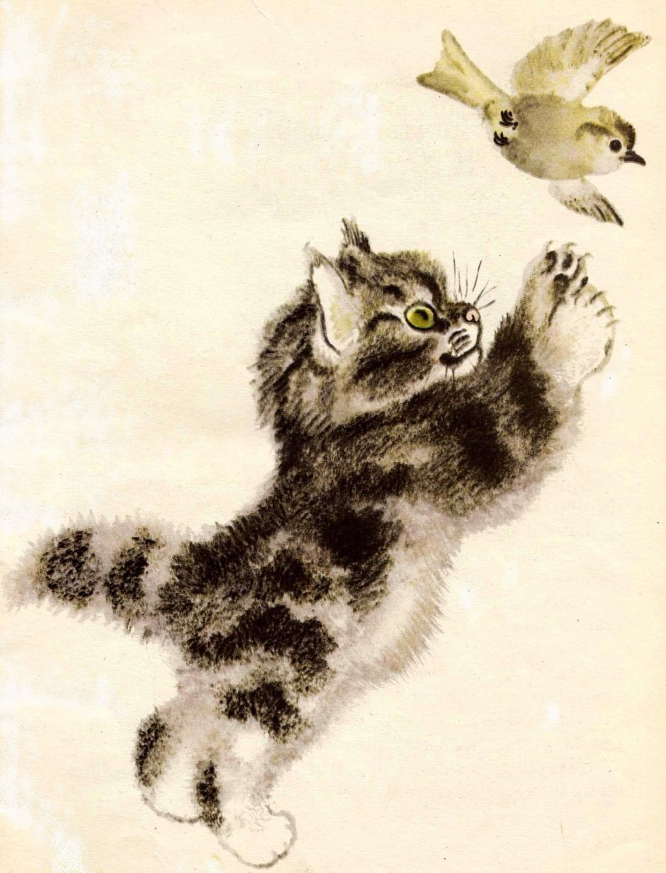 Воробушки и кот
