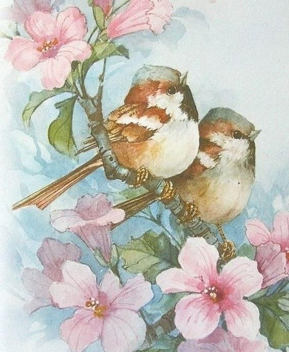 Carolyn Shores Wright. Пташки