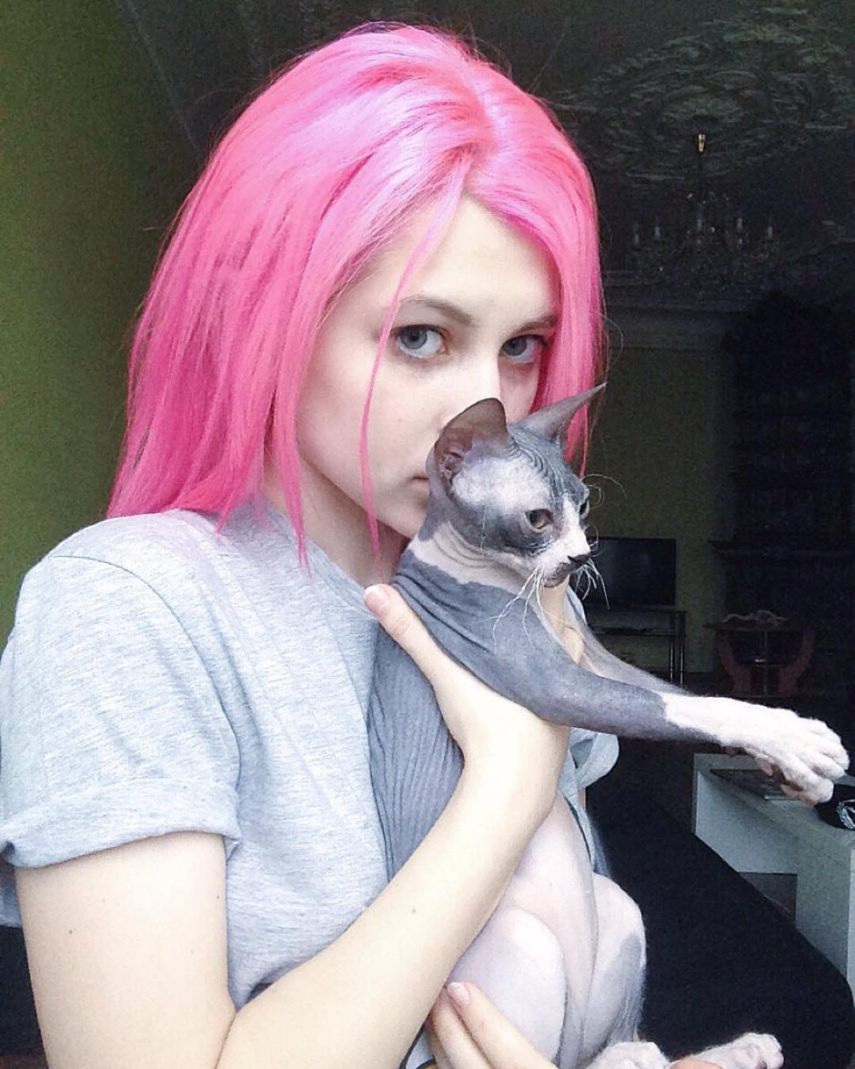 Необычные коты прически