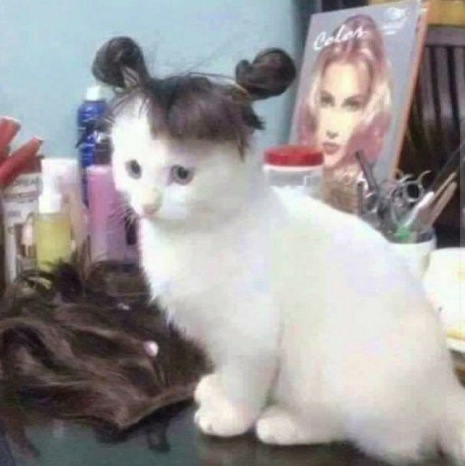 Прическа кошечка