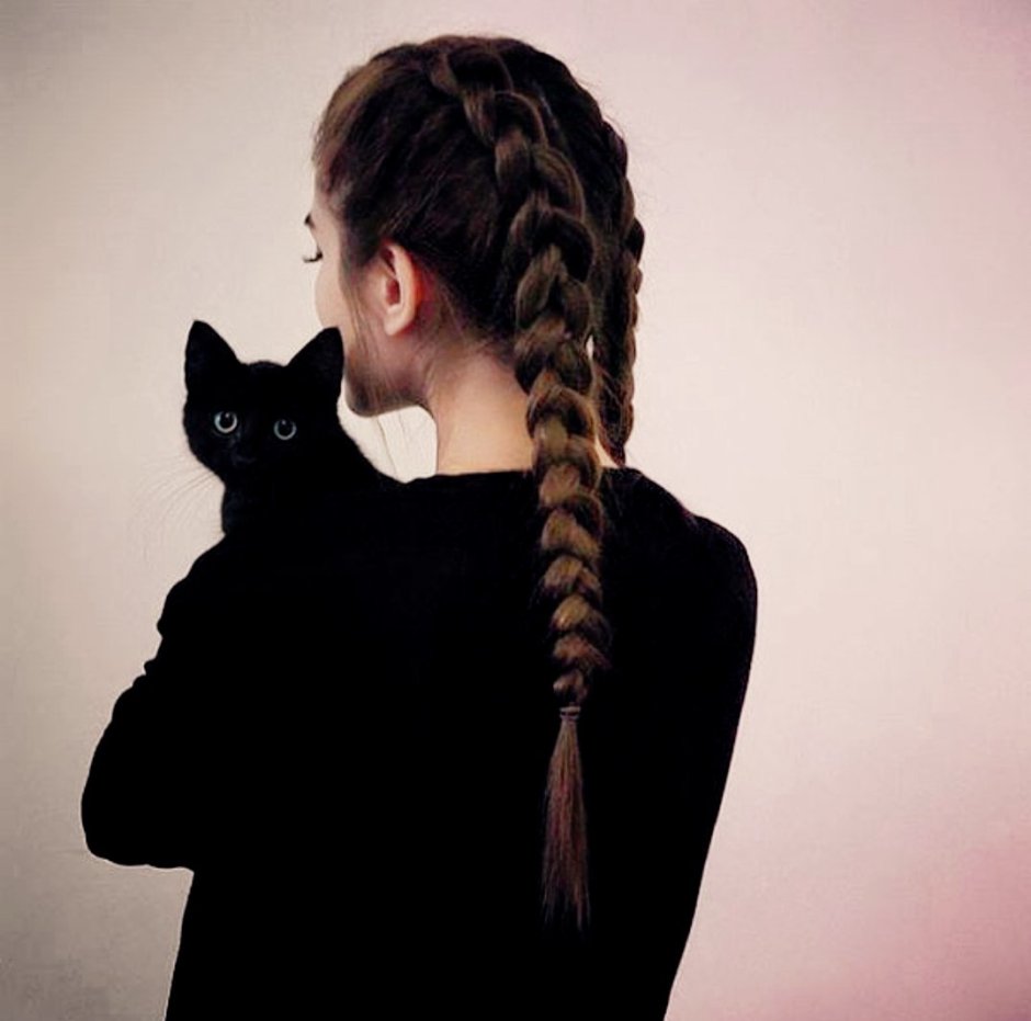 Стрижка кота налысо