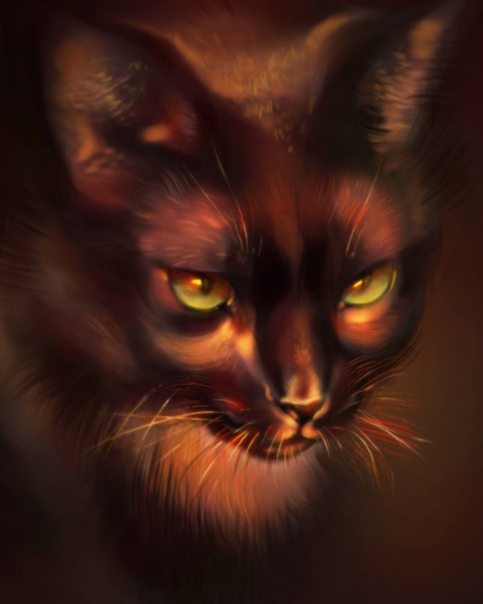 Мили кот