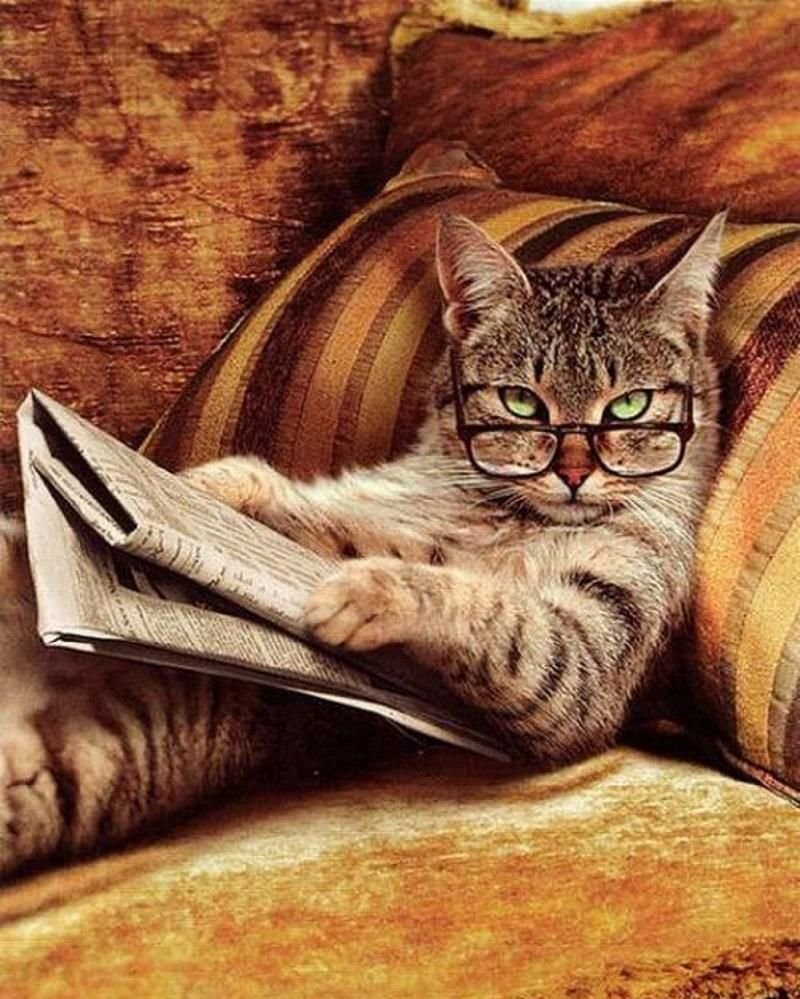 Наблюдение лупа