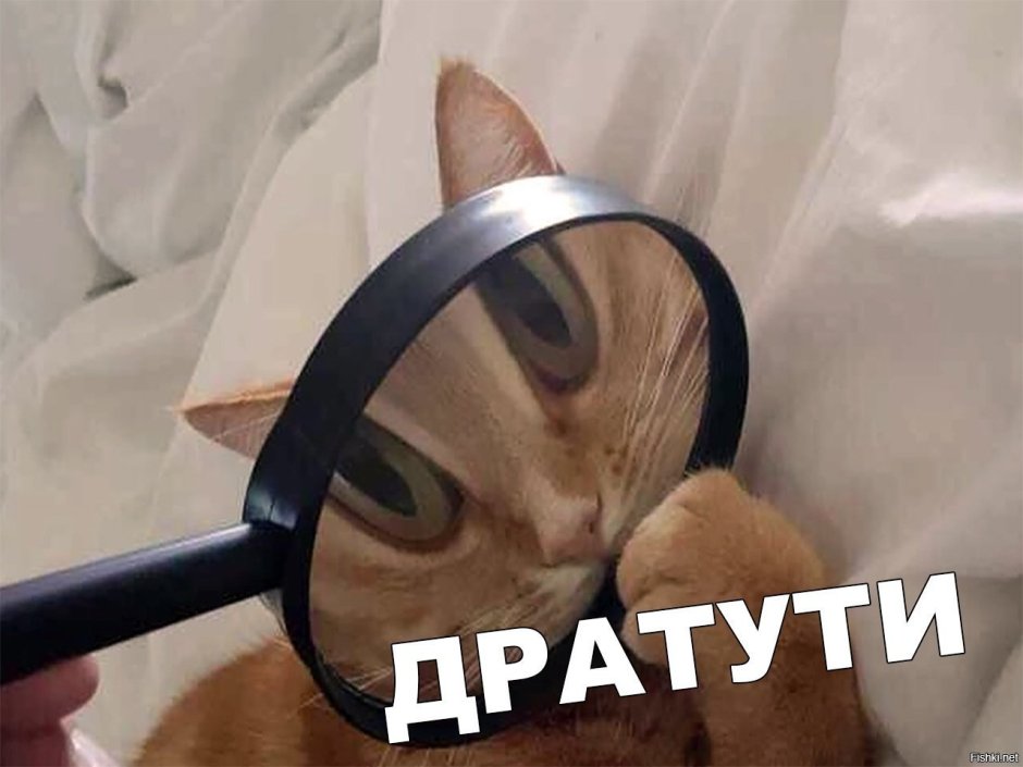 Мемы дратути