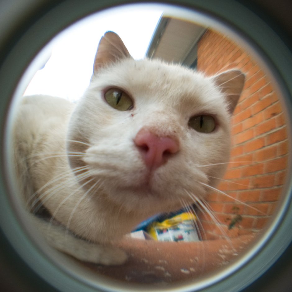 Девушка смотрит в лупу