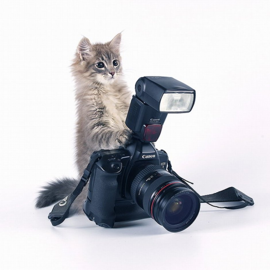 Рука с лупой