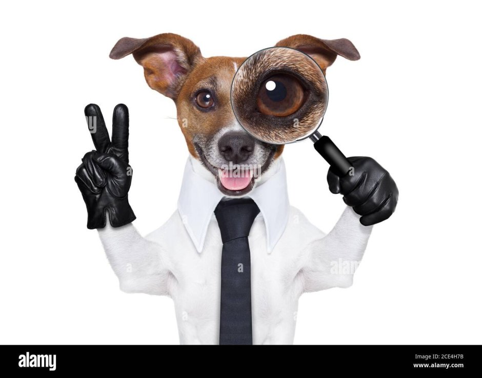 Прием офтальмолога