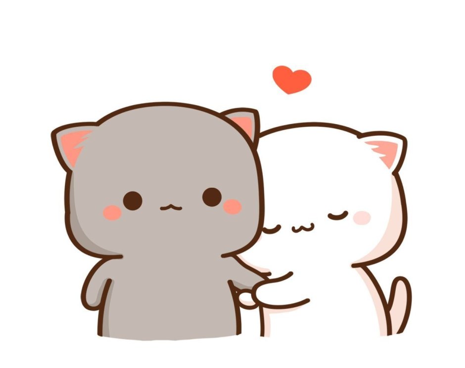 Кавайные котики любовь