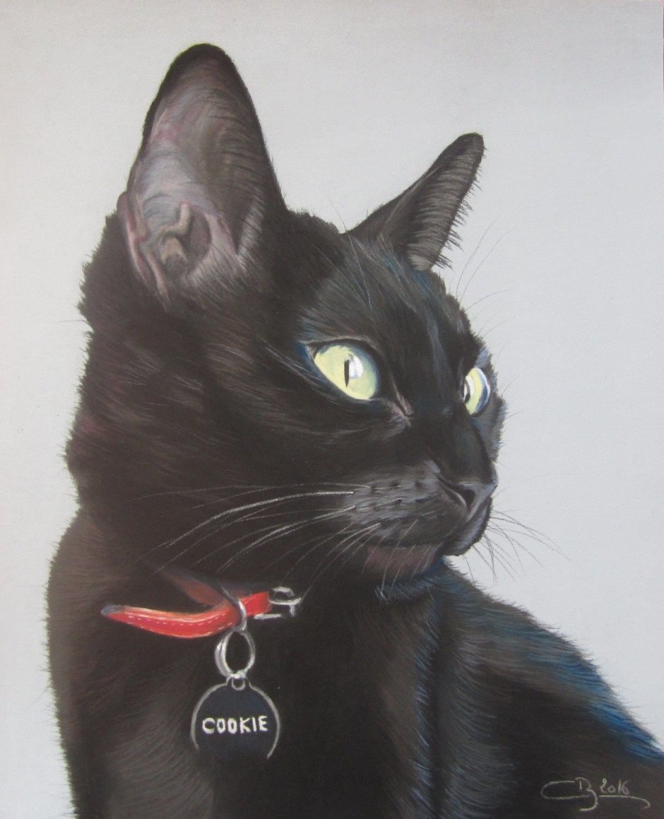 Черная кошечка Пинтерест