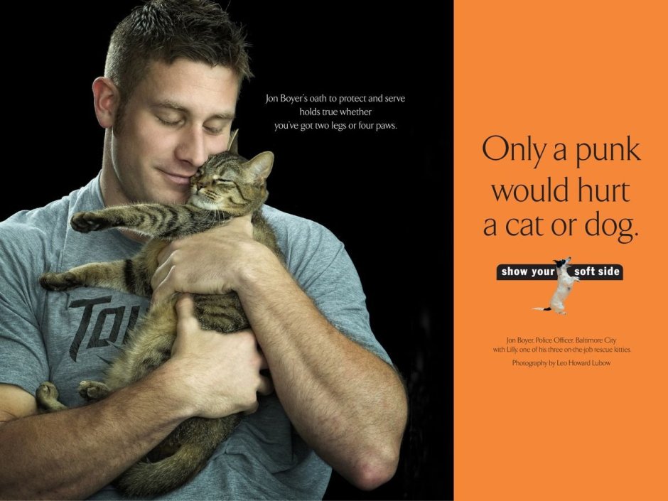 Стивен сиг дал