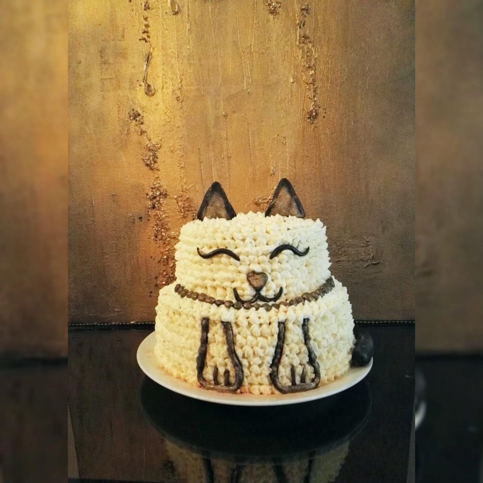 Cat with Cake picture