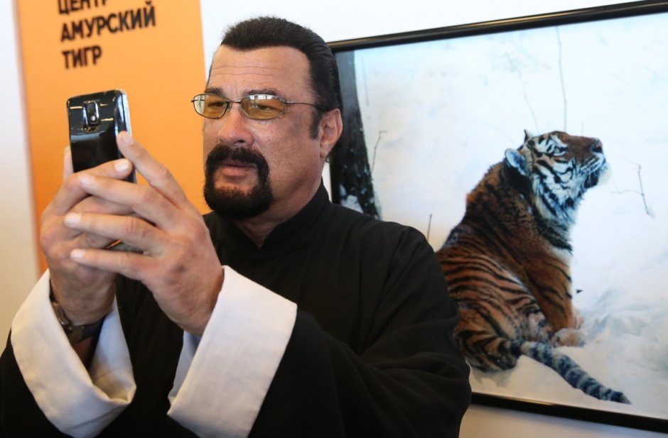 Кот ремонтирует машину