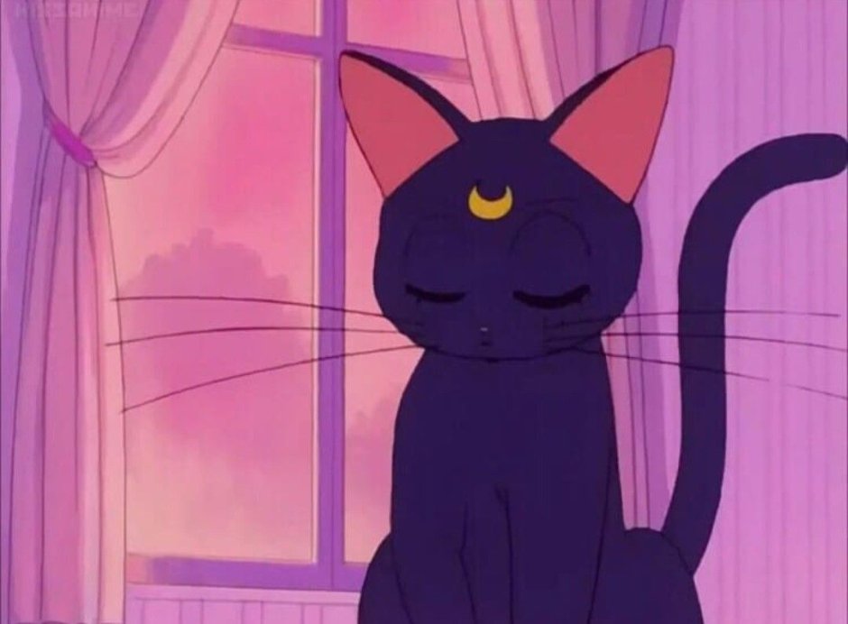 Порода Саванна (Ашера)