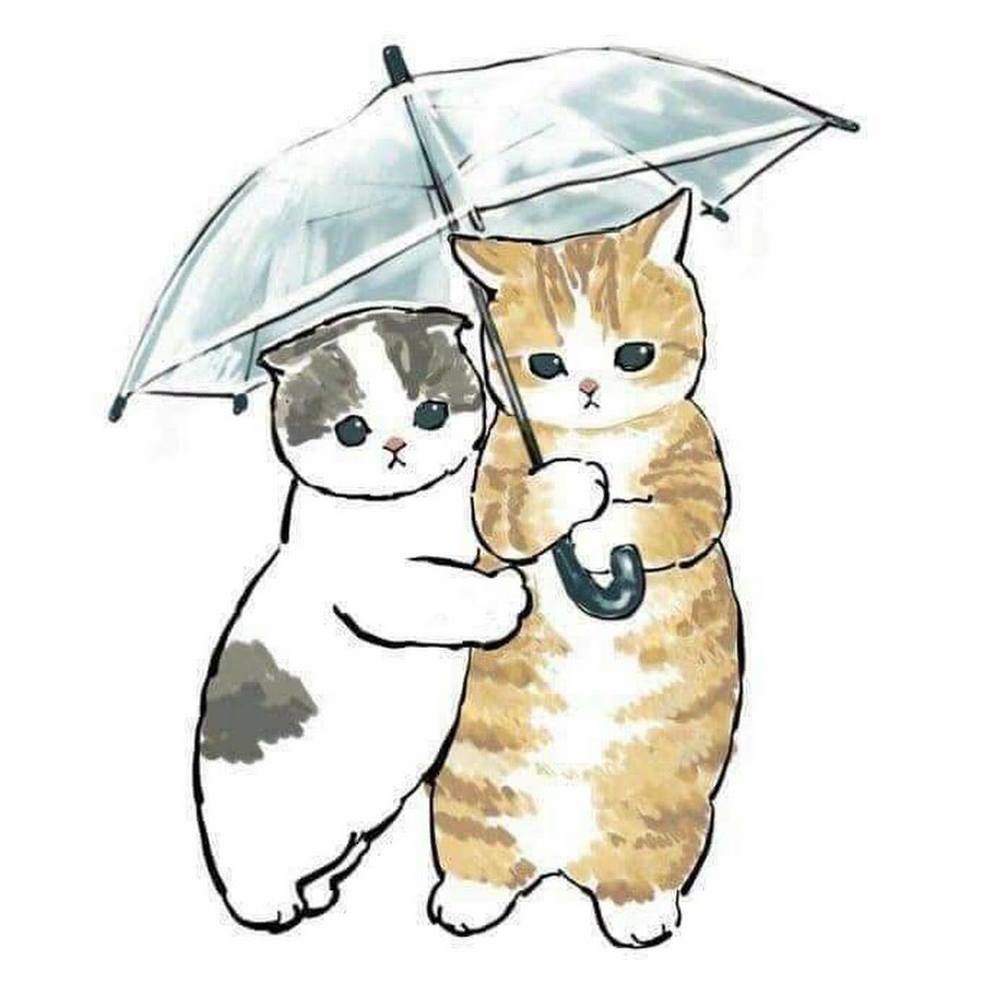 Кот из Англии Мем