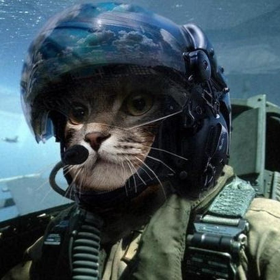 Милый котик рисунок из пинтереста