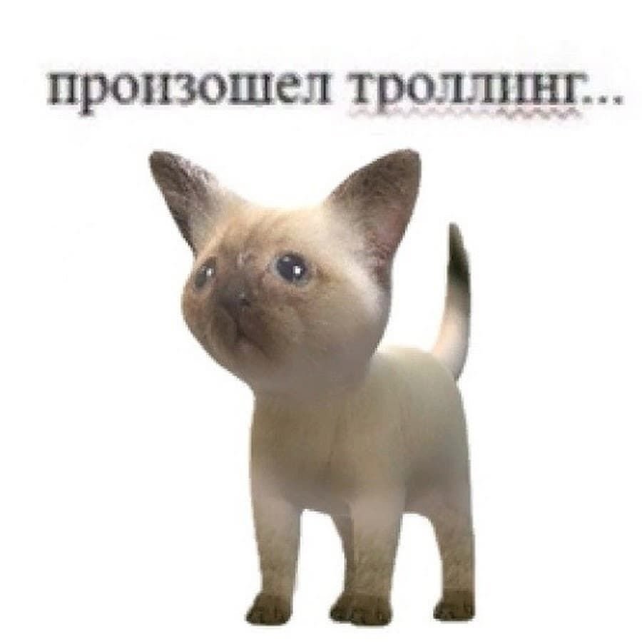 Рисунки для кошатников