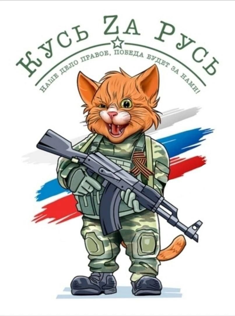 Юмористические рисунки котов