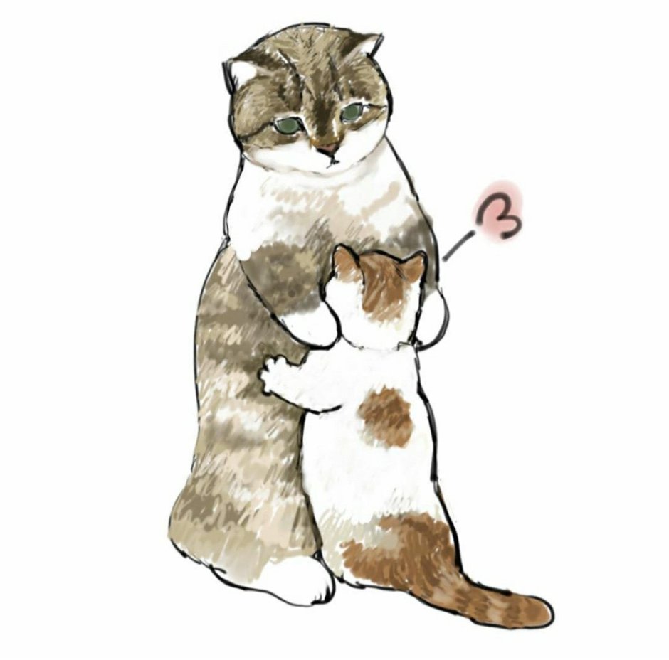 Котики которые меряют друг друга