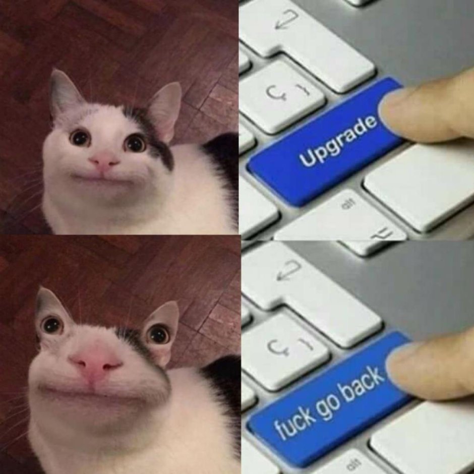 Вежливые люди с котом