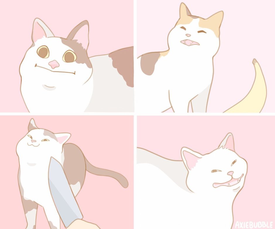 Вежливый кот Олли