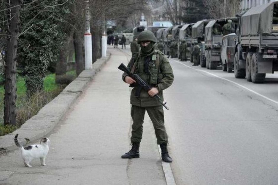 Рисунок кот на суше