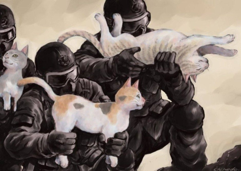 Аниме котики Эстетика