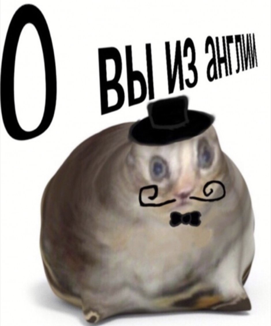 Плакат с котиком держись