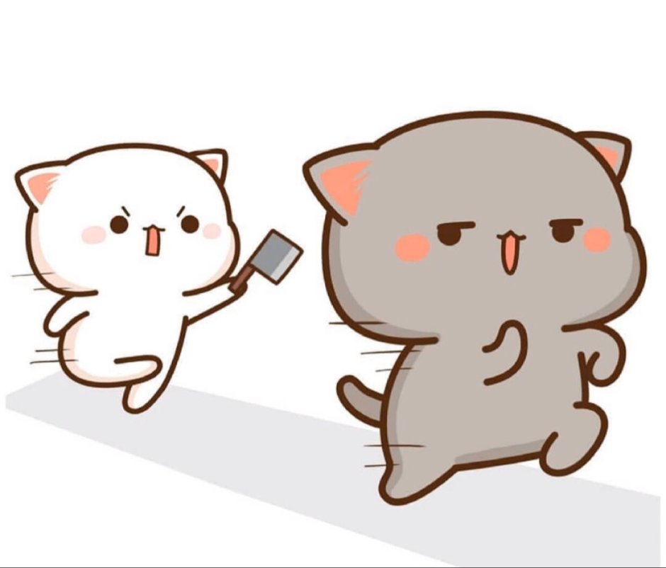 Кот в носке