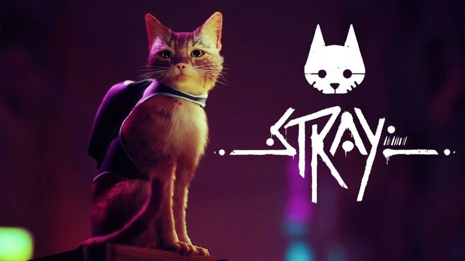 Stray 2022